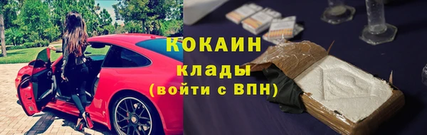 ECSTASY Алзамай
