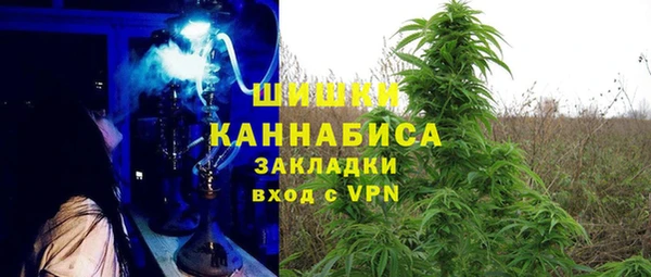 ECSTASY Алзамай