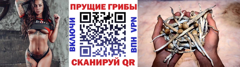 Псилоцибиновые грибы Cubensis  продажа наркотиков  площадка Telegram  Липки 