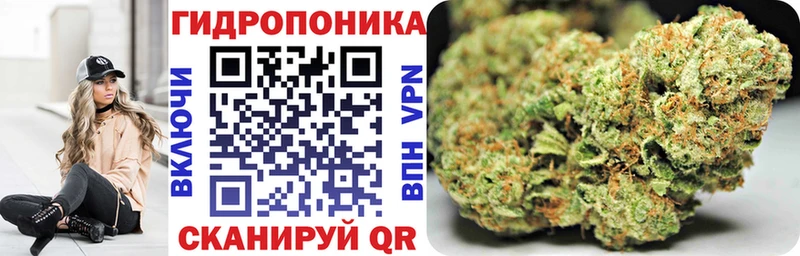 МЕГА Липки Шишки марихуана планчик